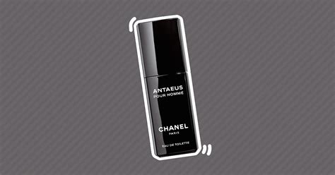 antaeus Chanel reviews